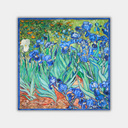 Vincent van Gogh - Īrisi