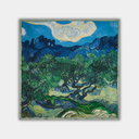 Vincent van Gogh - Olīvkoki