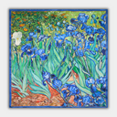 Vincent van Gogh - Īrisi