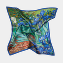 Vincent van Gogh - Īrisi